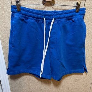 UO Lucien Vintage Wash Shorts